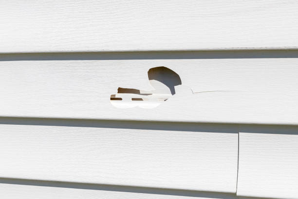 How To Choose The Right Materials for Your Siding Installation in 'Bellevue, WI